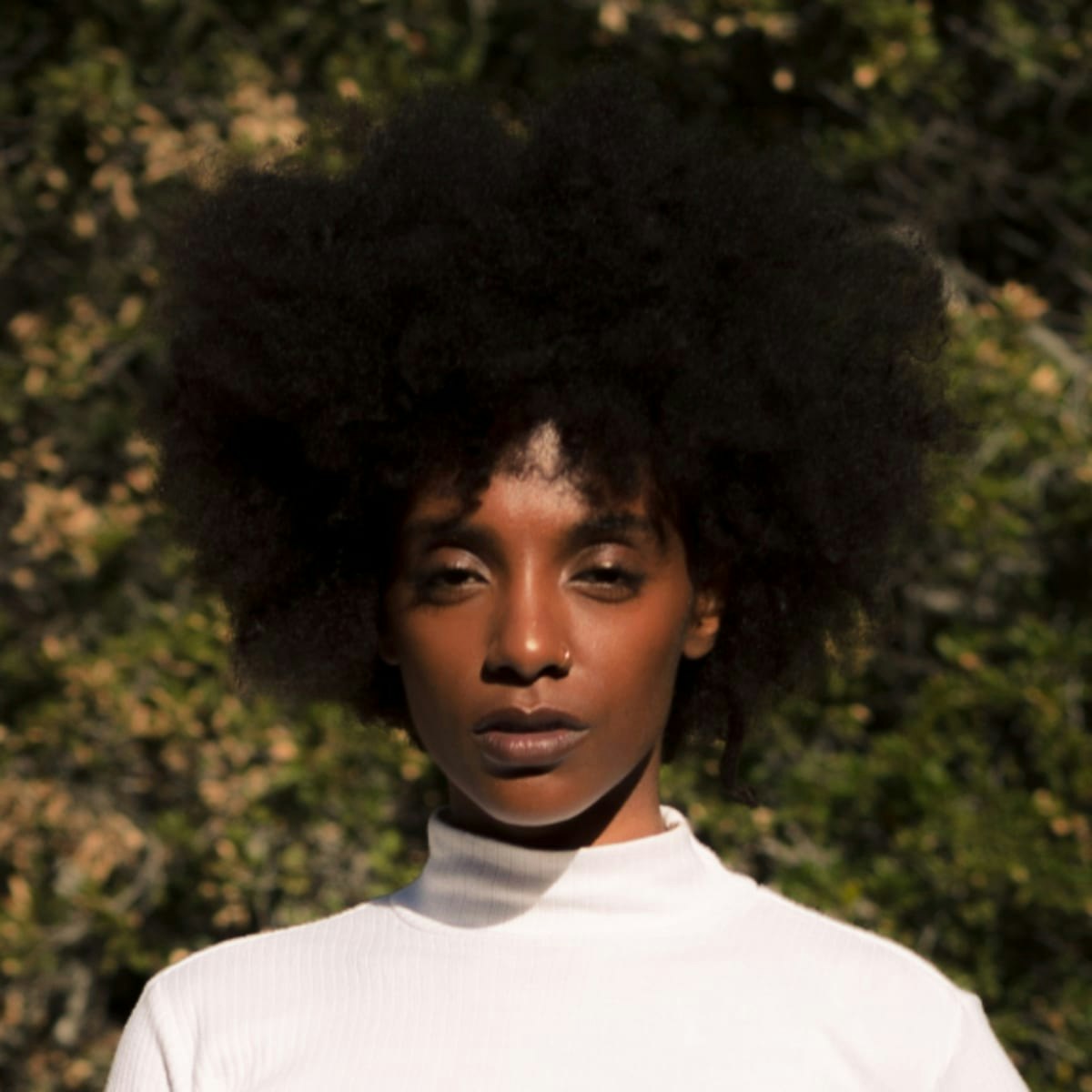 2b077af1-f3ab-4d8c-a90e-83966a6be8af.jpg?rect=0%2C0%2C1200%2C1200&dpr=2&q=40&auto=format%2Ccompress&fit=max