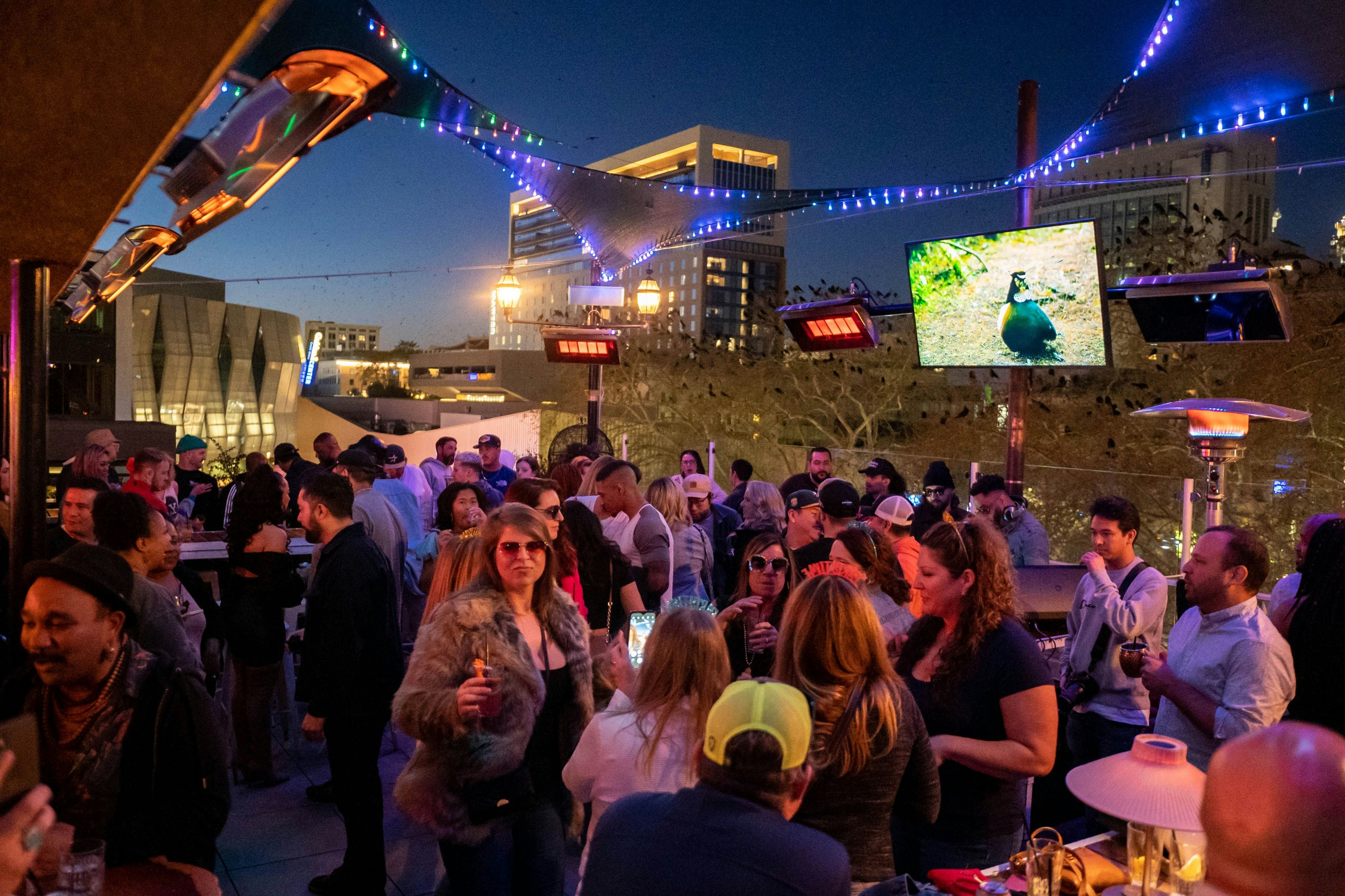 Darling Aviary tickets and events DICE