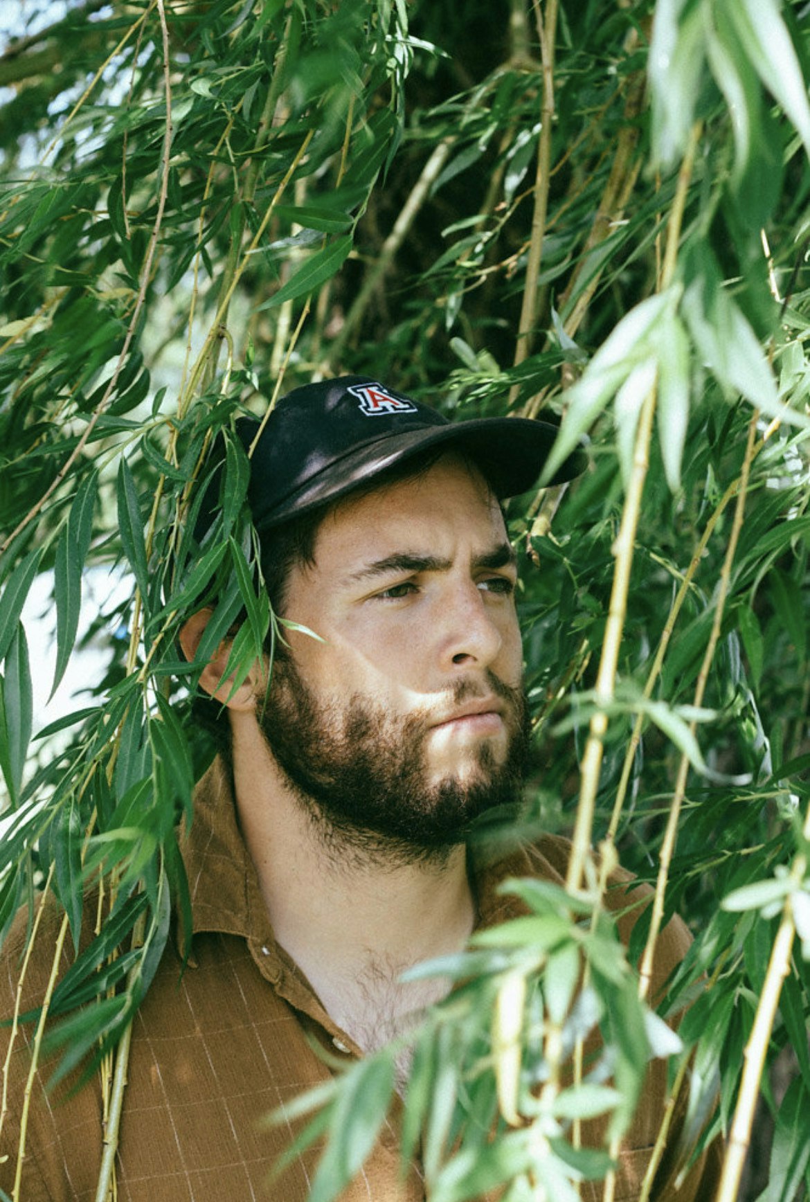 Dos Argentés  |  Bright Bright  |  Viané