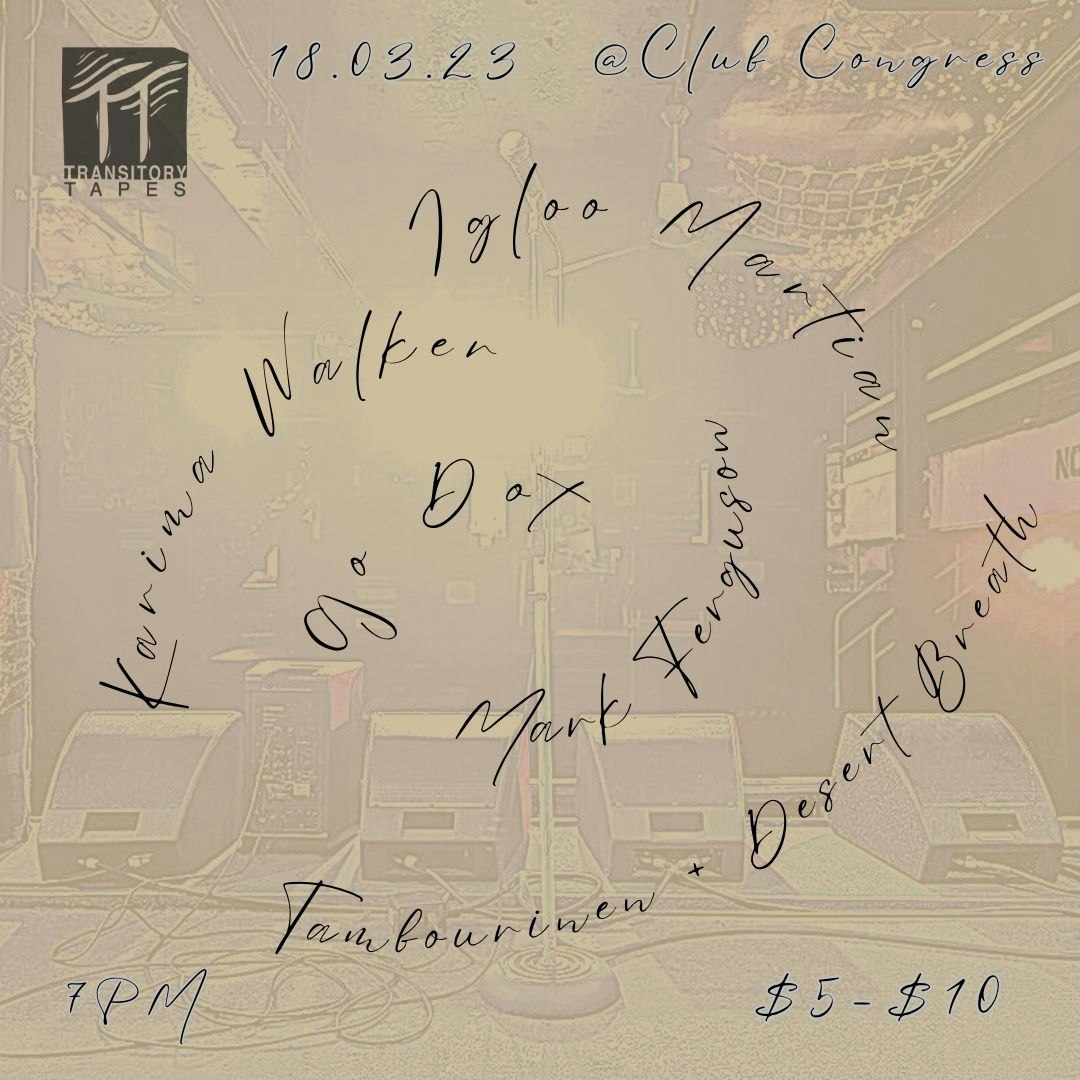 Transitory Tapes Presents Sound Check