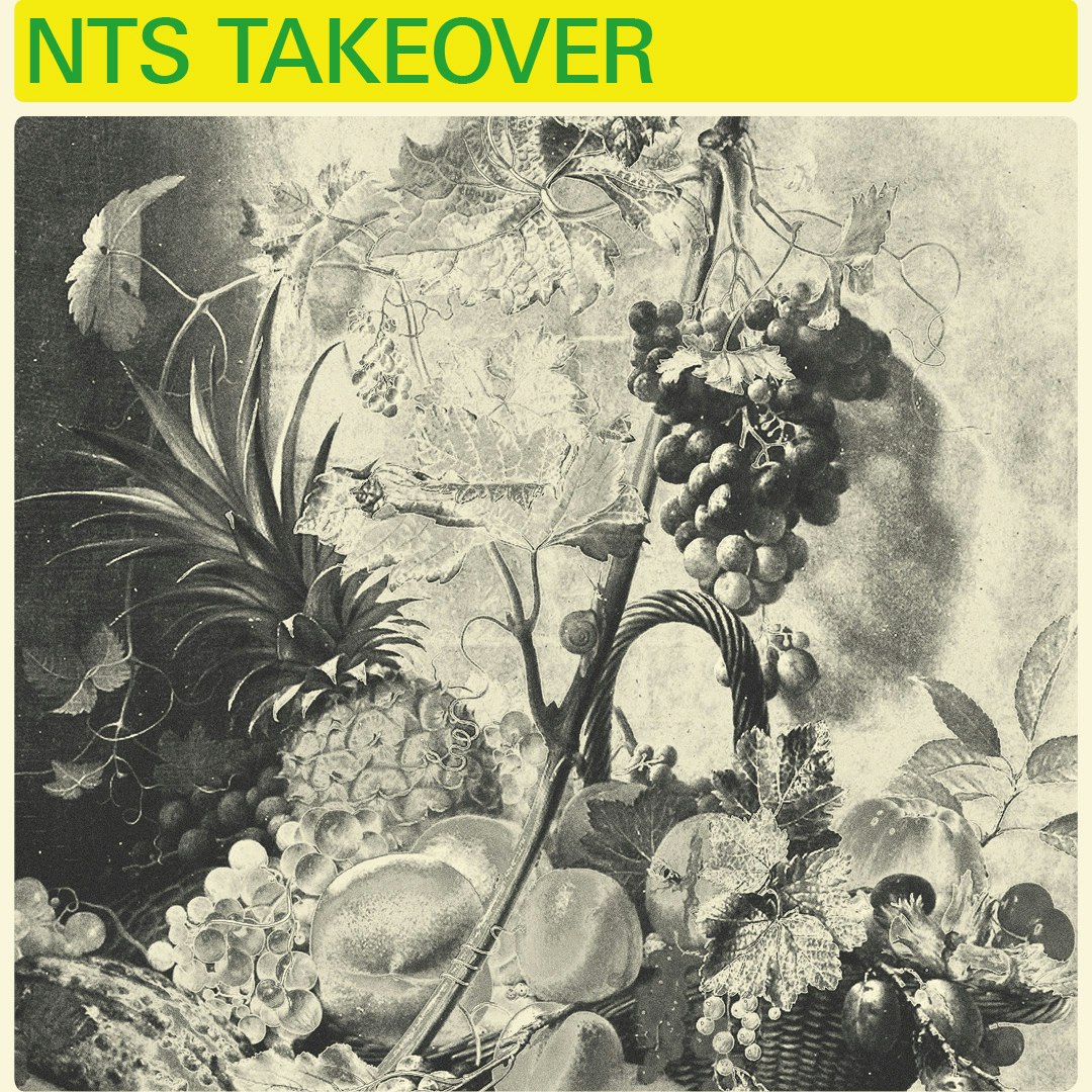 The Nursery: NTS Takeover