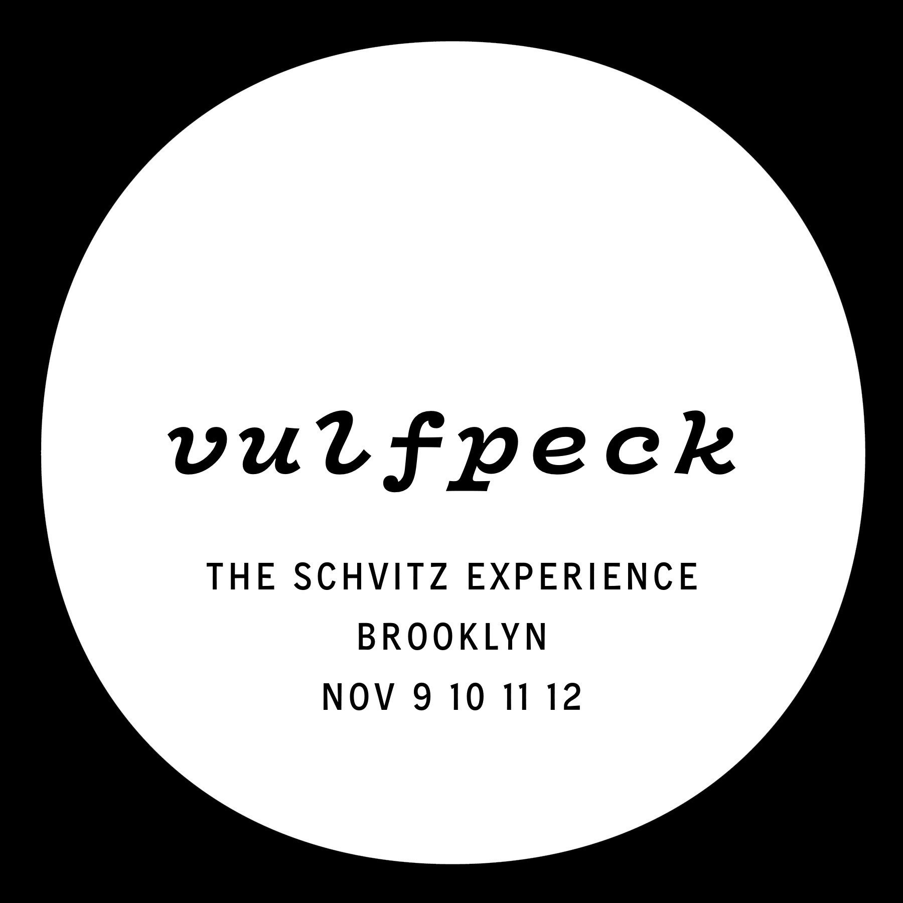 THE VULFPECK SCHVITZ EXPERIENCE - MATINEE