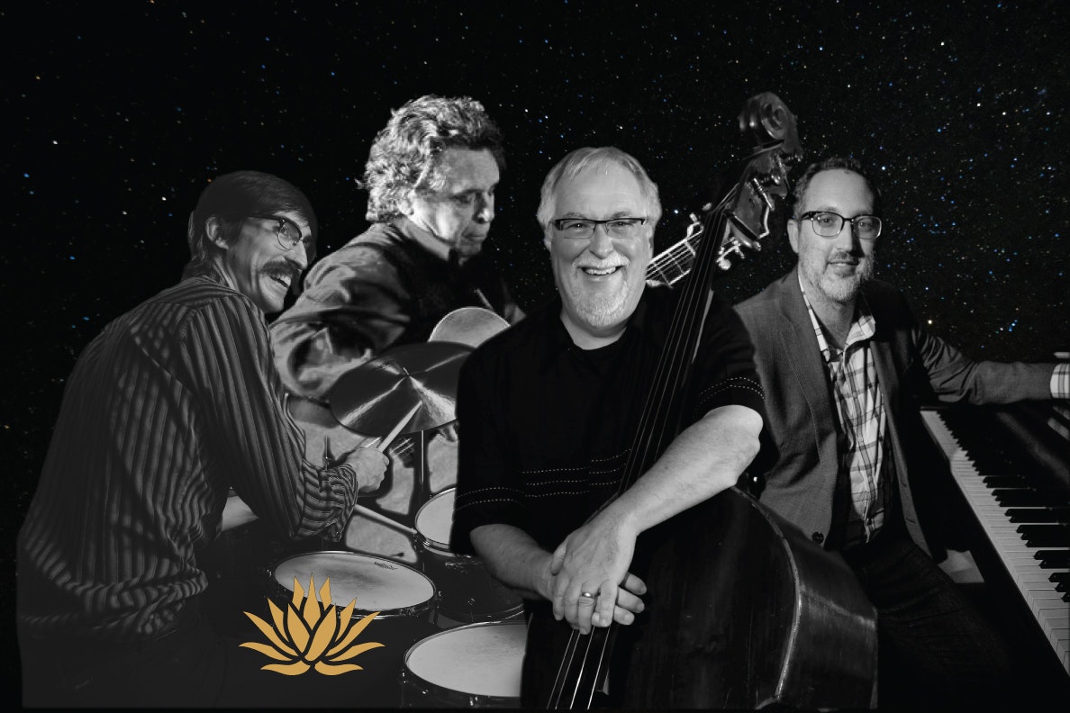 Tom Wakeling’s Strings & Things