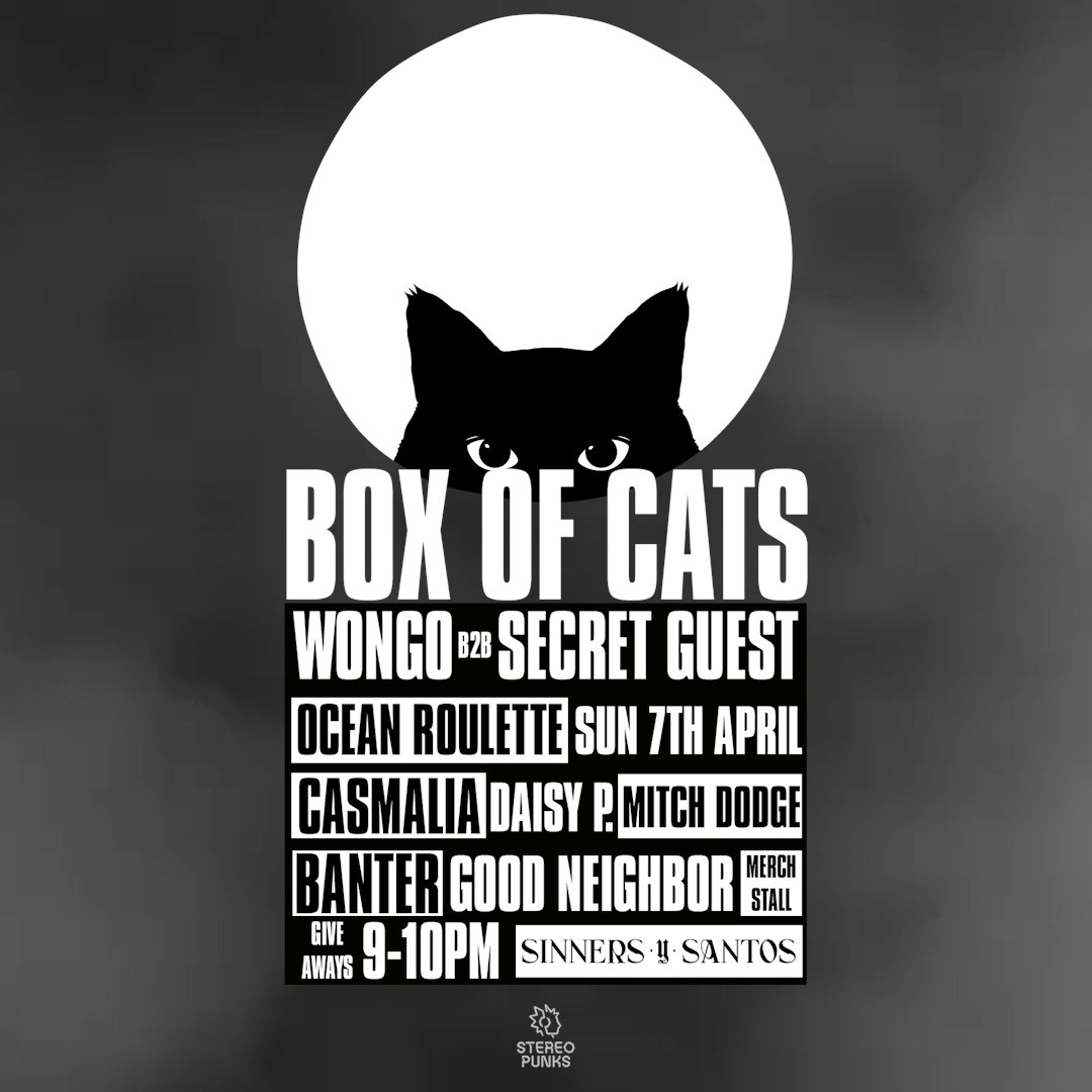 Box of best sale cats