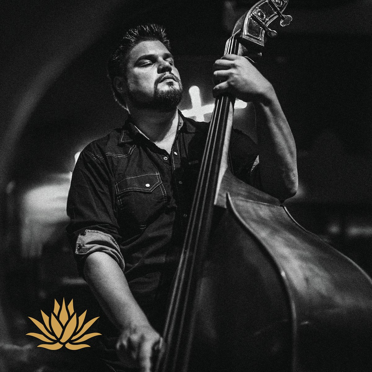 Marcos Varela | San Ygnacio Project