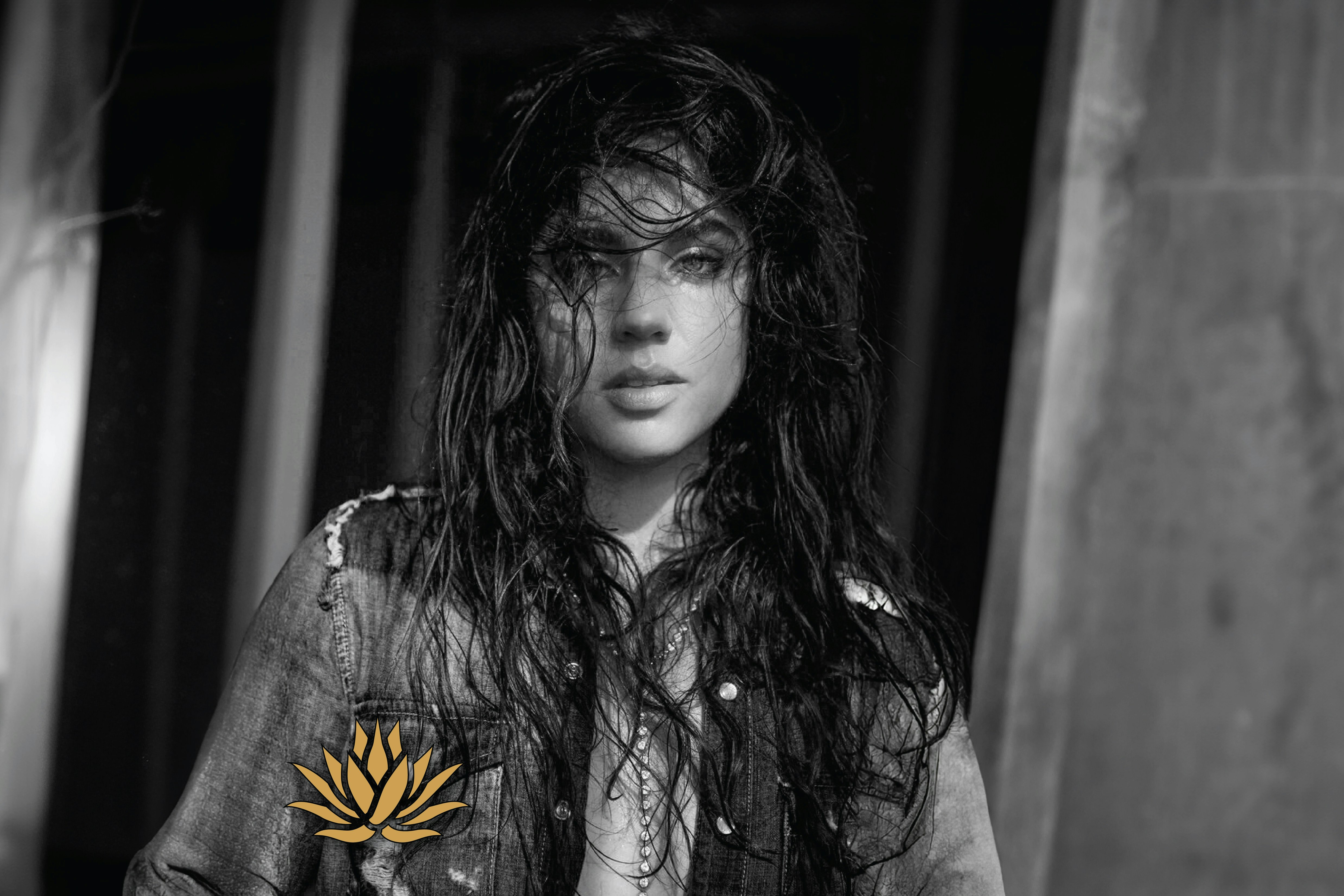 Jesse Palter “Nothing Standard”