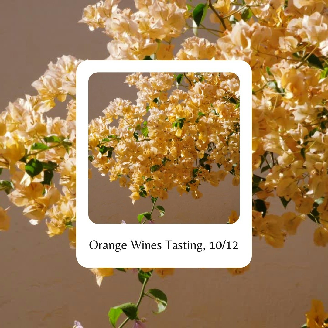 Wine Tasting: Orange Wines!