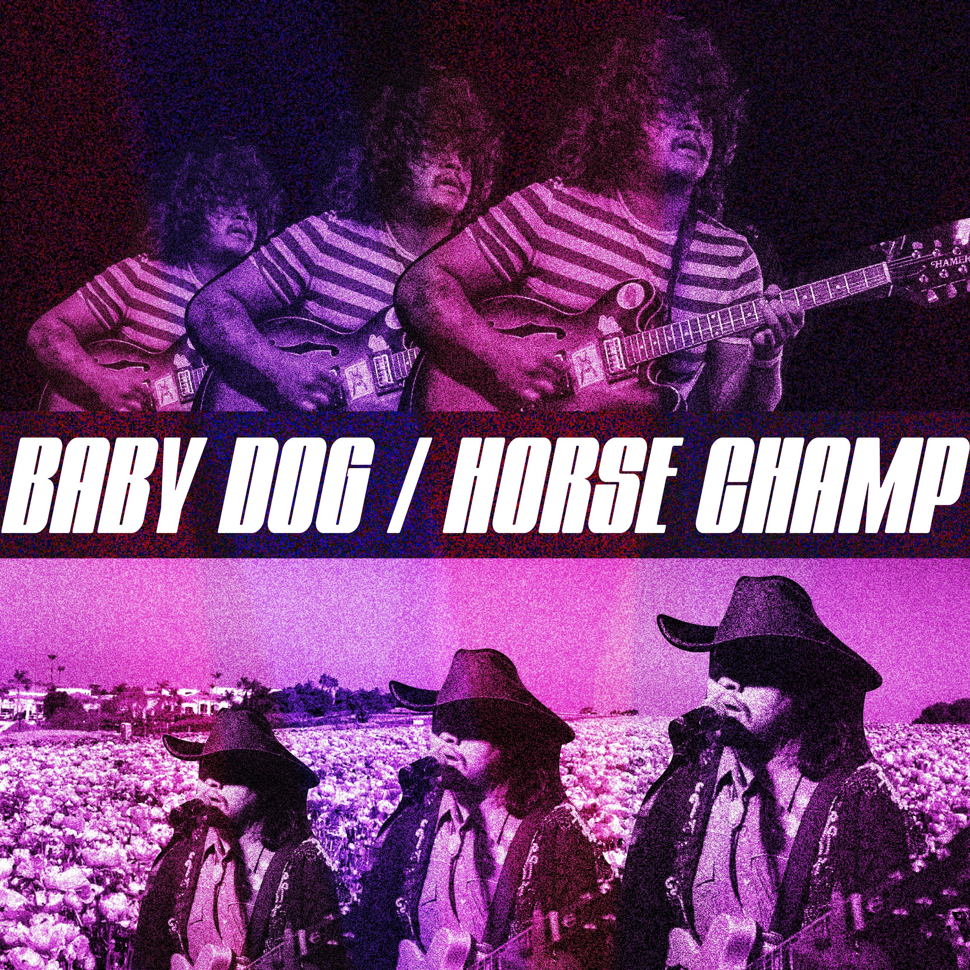 Baby Dog / Horse Champ