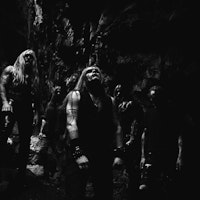 CARPATHIAN FOREST