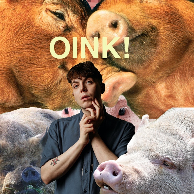 Ed Night: Oink! (Work in progress) at The Bill Murray - Angel Comedy Club