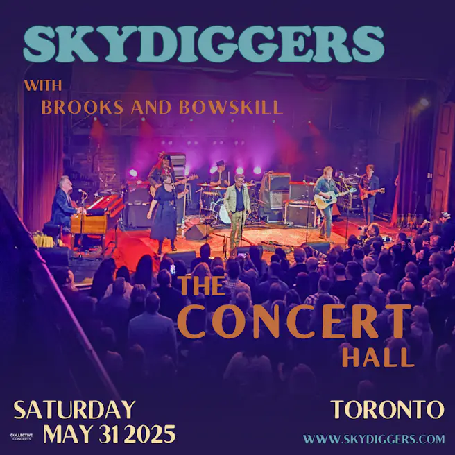 Skydiggers
