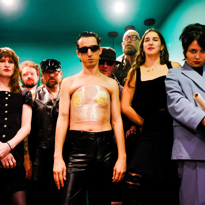 The Moonlandingz