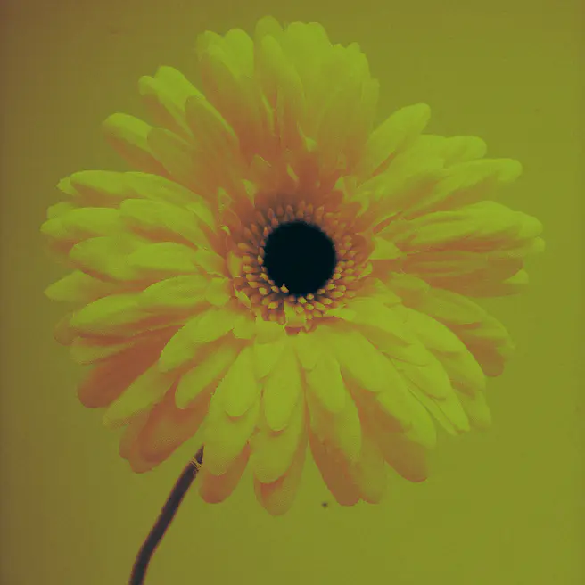 Sunday Tribute - Radiohead