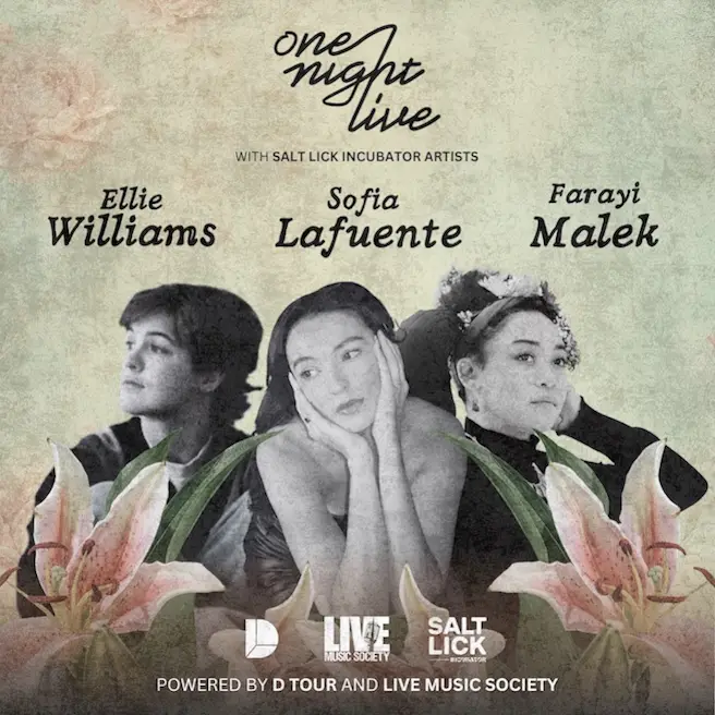 One Night Live with Salt Lick Incubator Artists