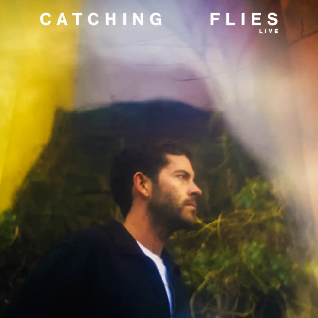 Catching Flies