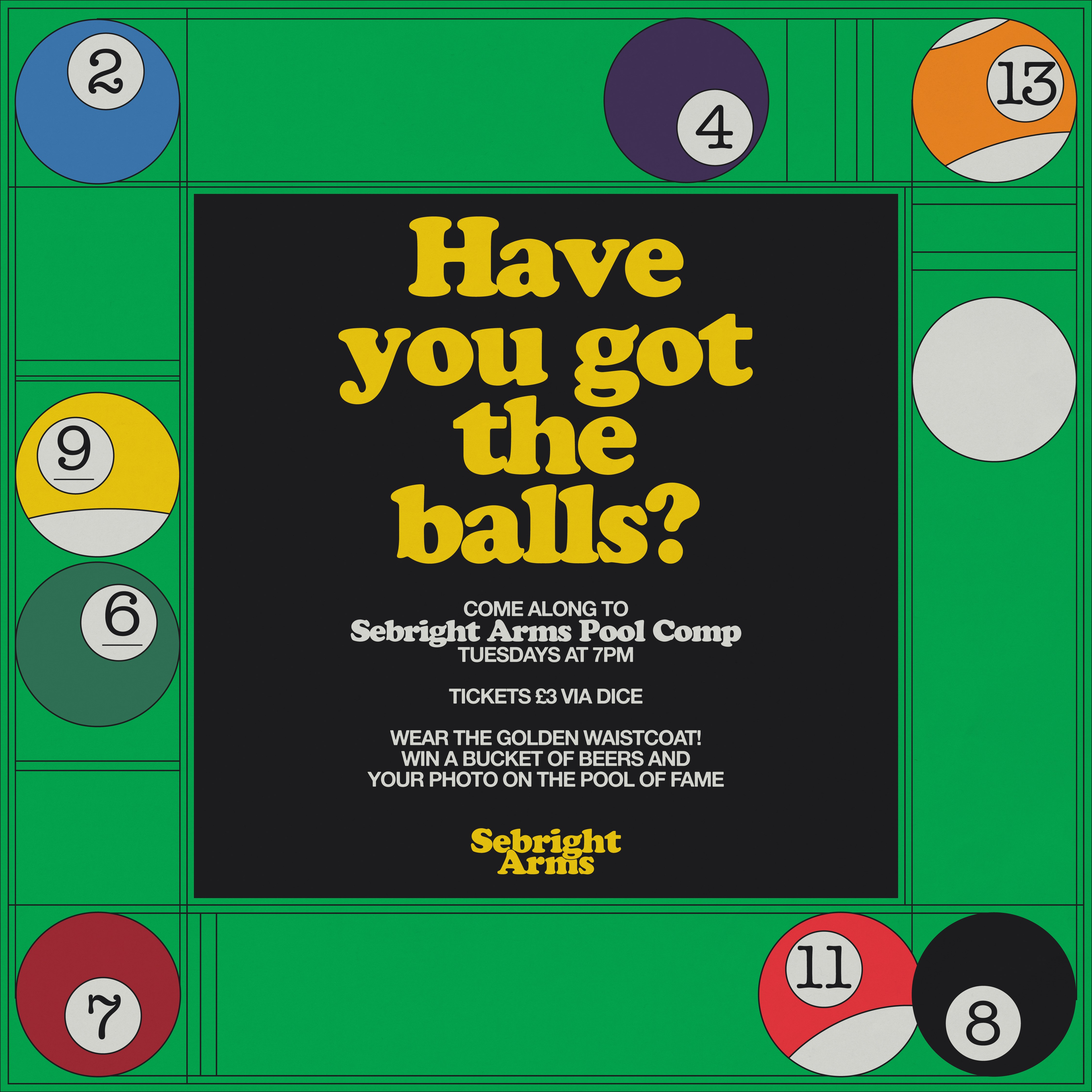 Photo of Sebright Arms Pool Comp