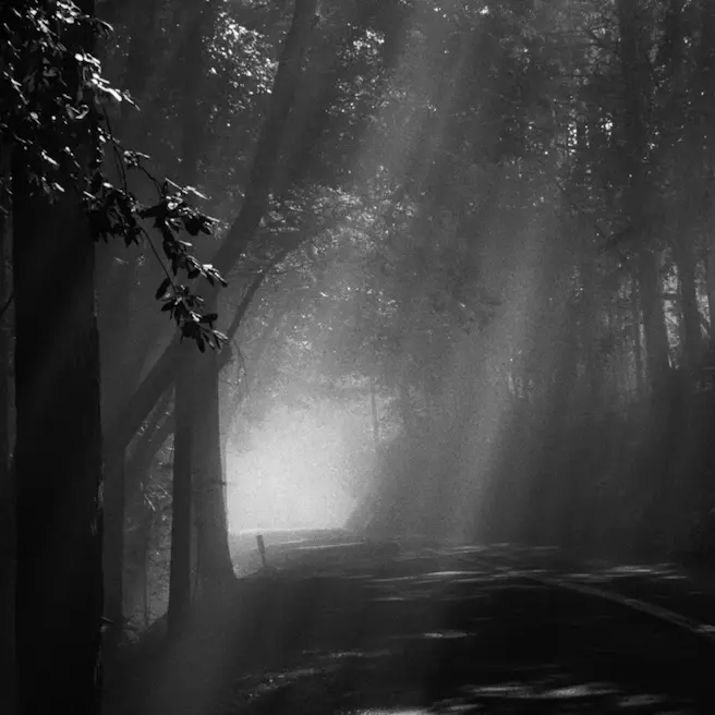 LA Filmforum: Brigid McCaffrey's SANCTUARY STATION