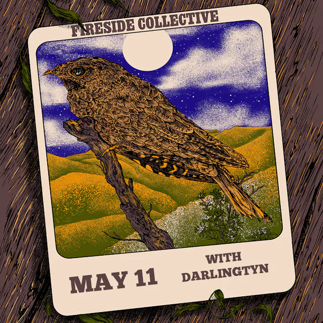 Fireside Collective