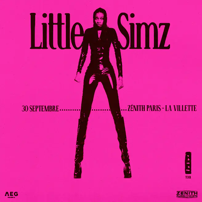 Little Simz