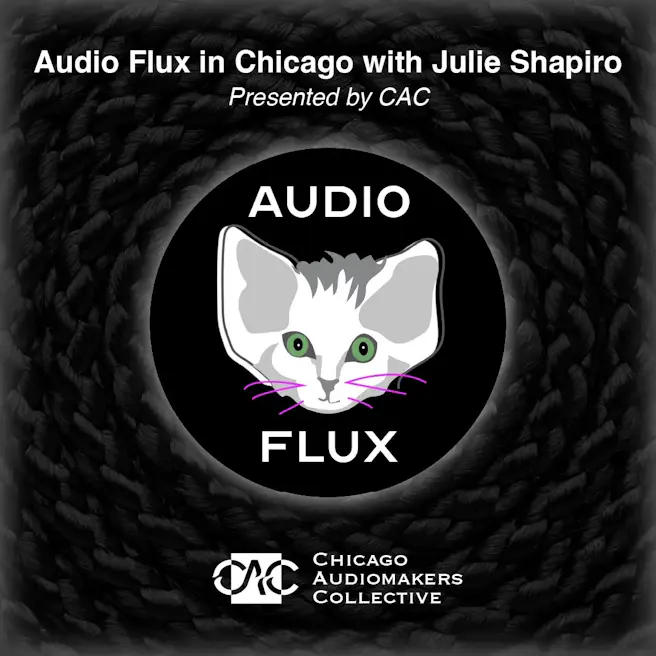 Audio Flux in Chicago