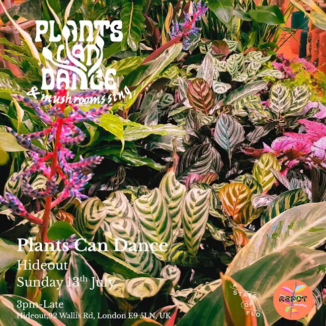 Plants Can Dance