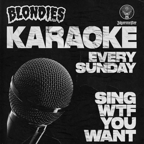 LIVE 'N' LOUD / Free Karaoke Sundays - SING WTF YOU WANT
