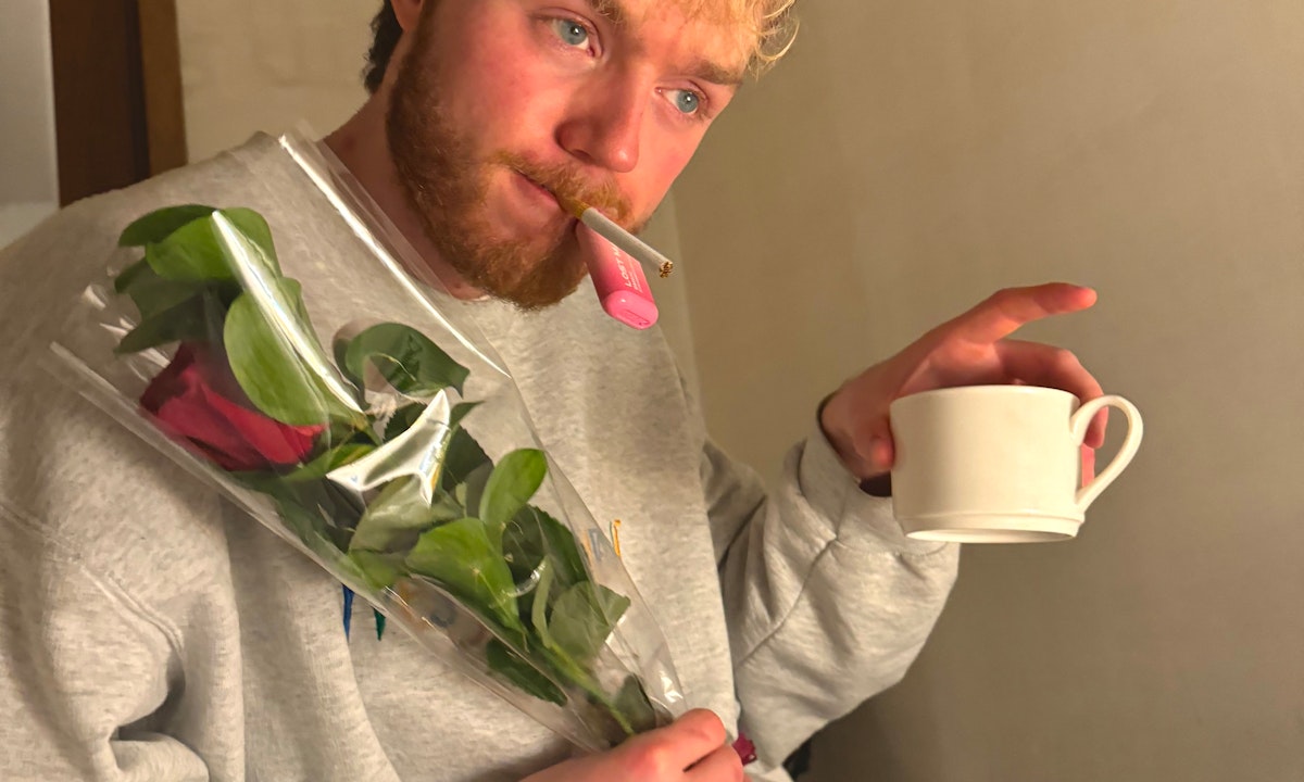 Finlay Christie: Champagne Casanova W.I.P.