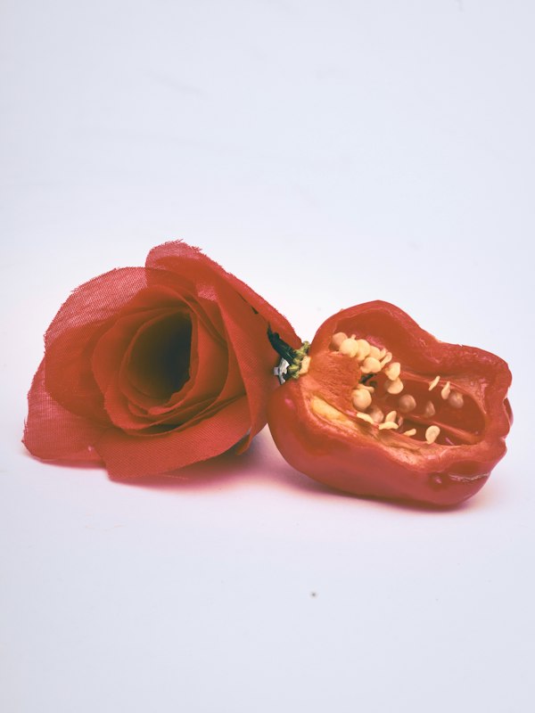 Sunday Tribute - Red Hot Chili Peppers
