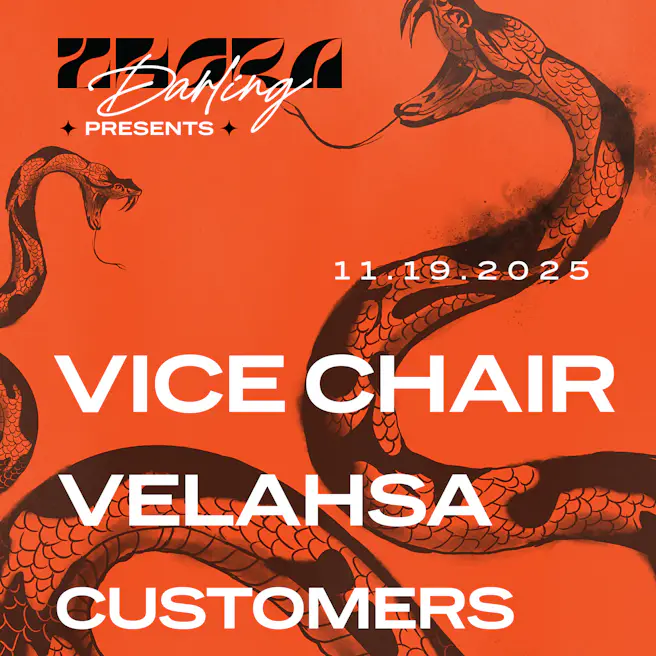 Vice Chair, Velahsa, & Customers