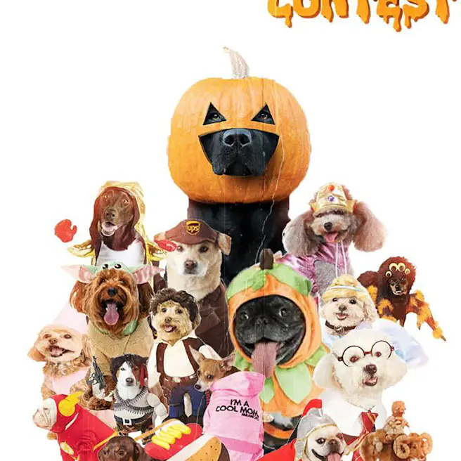 Halloween Dog Costume Parade and Contest