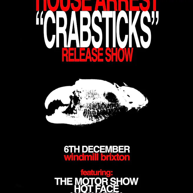 Garagebashing Vol 32 - House Arrest release show