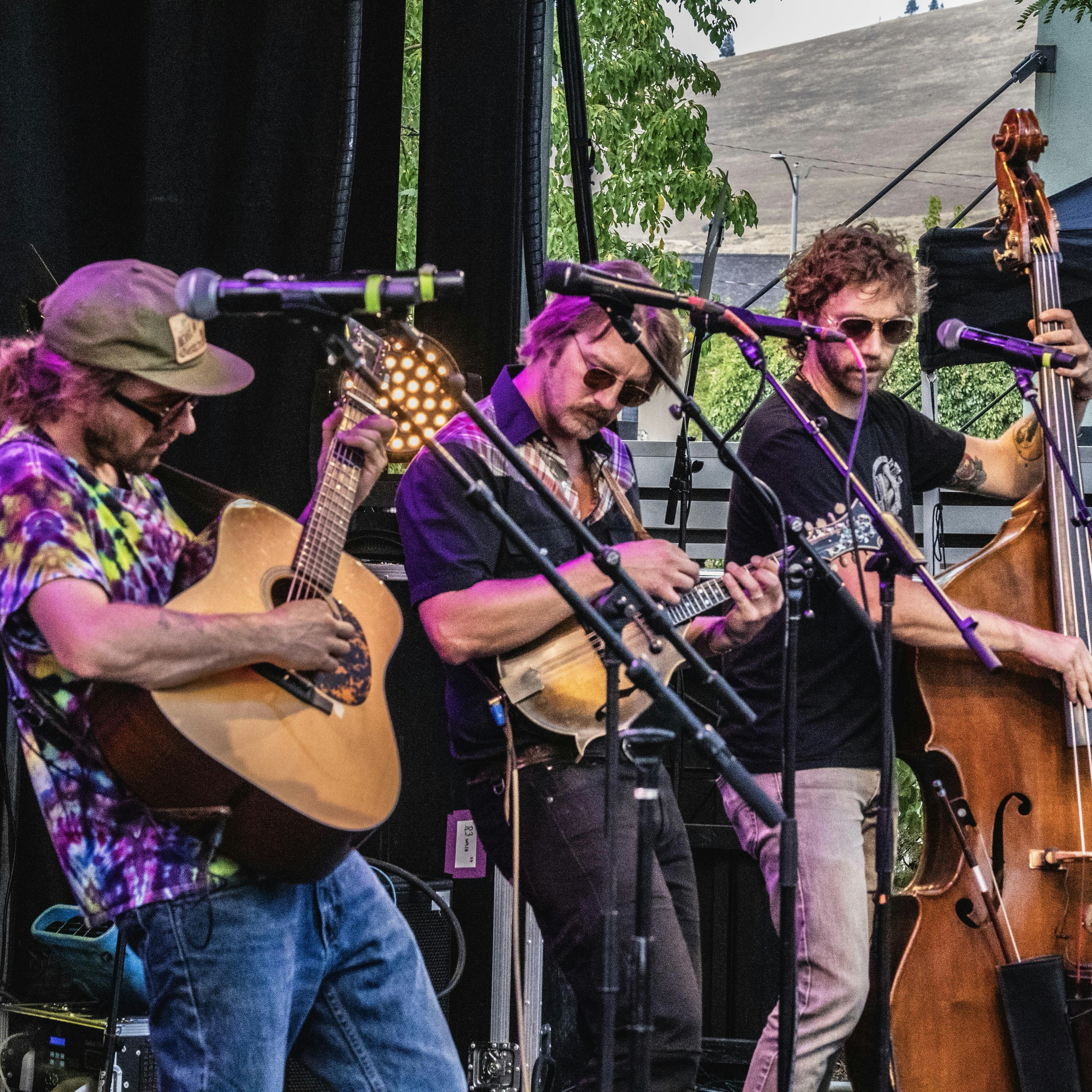 Photo of The Fretliners