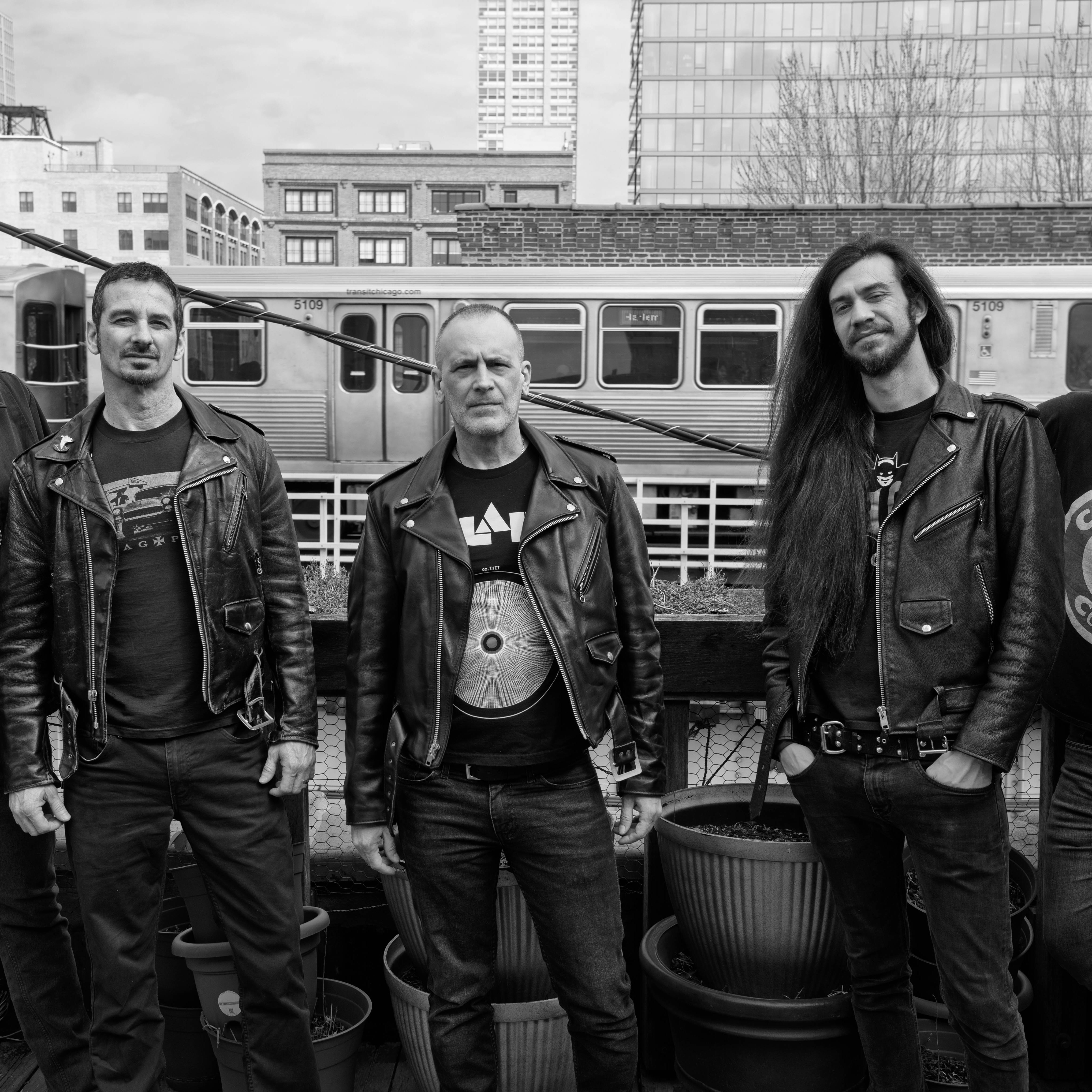 Photo of SCREECHING WEASE