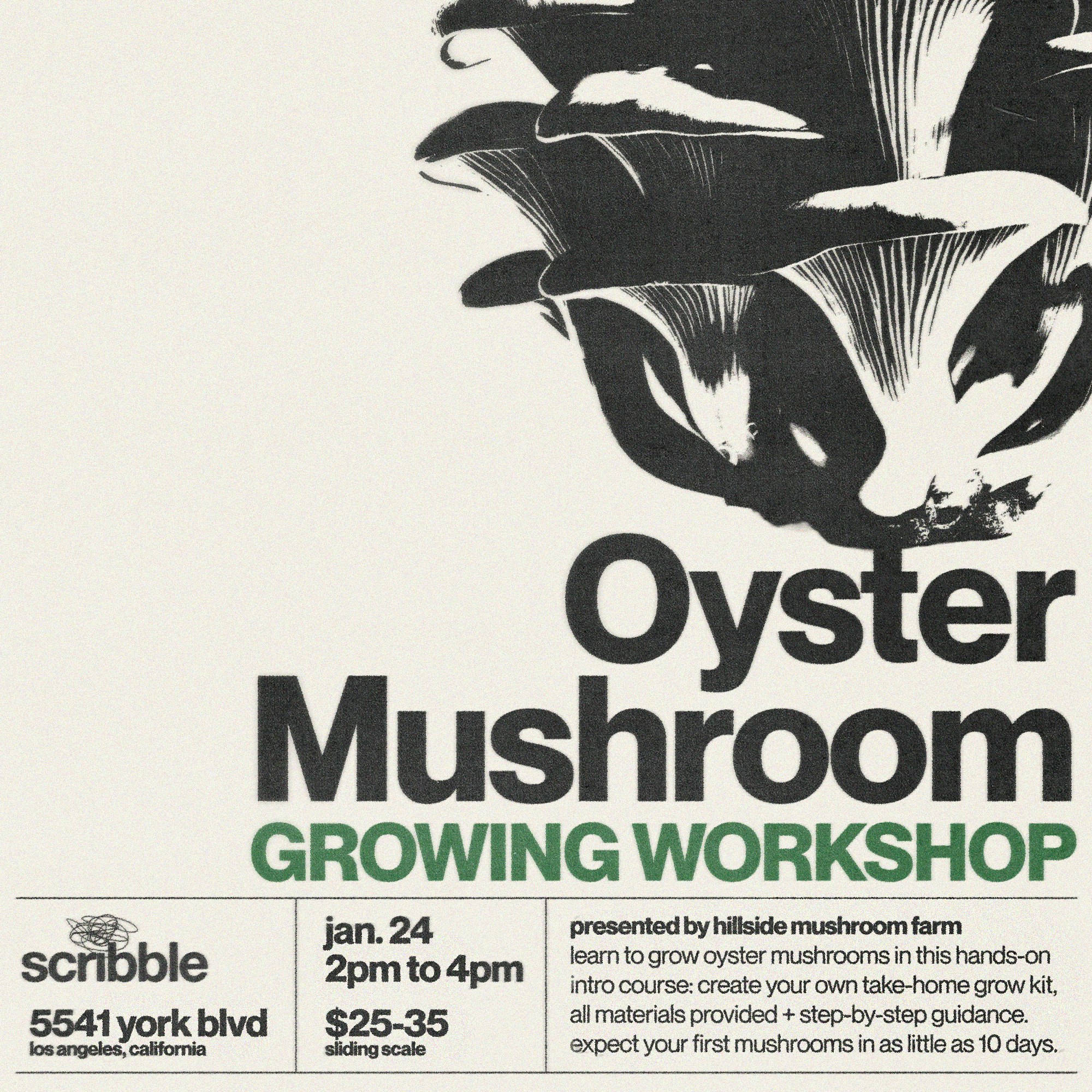 Photo of Oyster Mushroom Growing Workshop