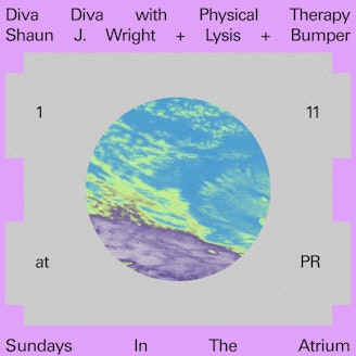 Image for Diva Diva: Physical Therapy, Shaun J. Wright, Lysis, Bumper