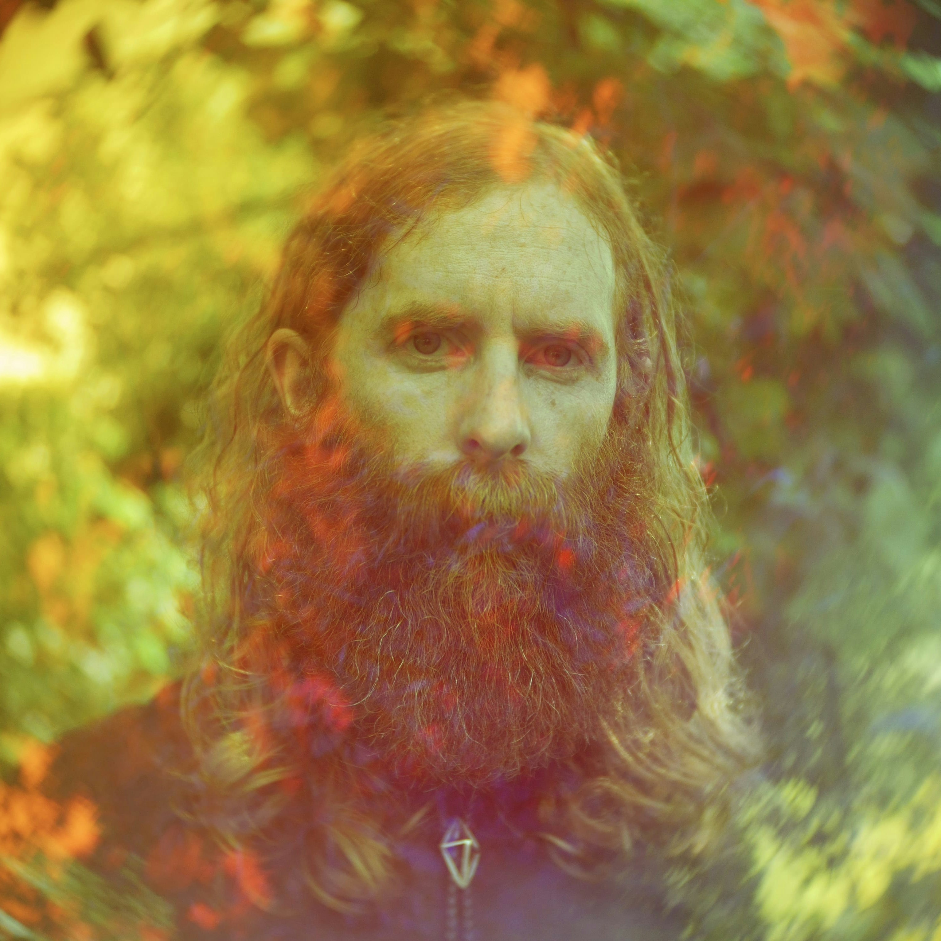 Photo of Saintseneca, Gladie