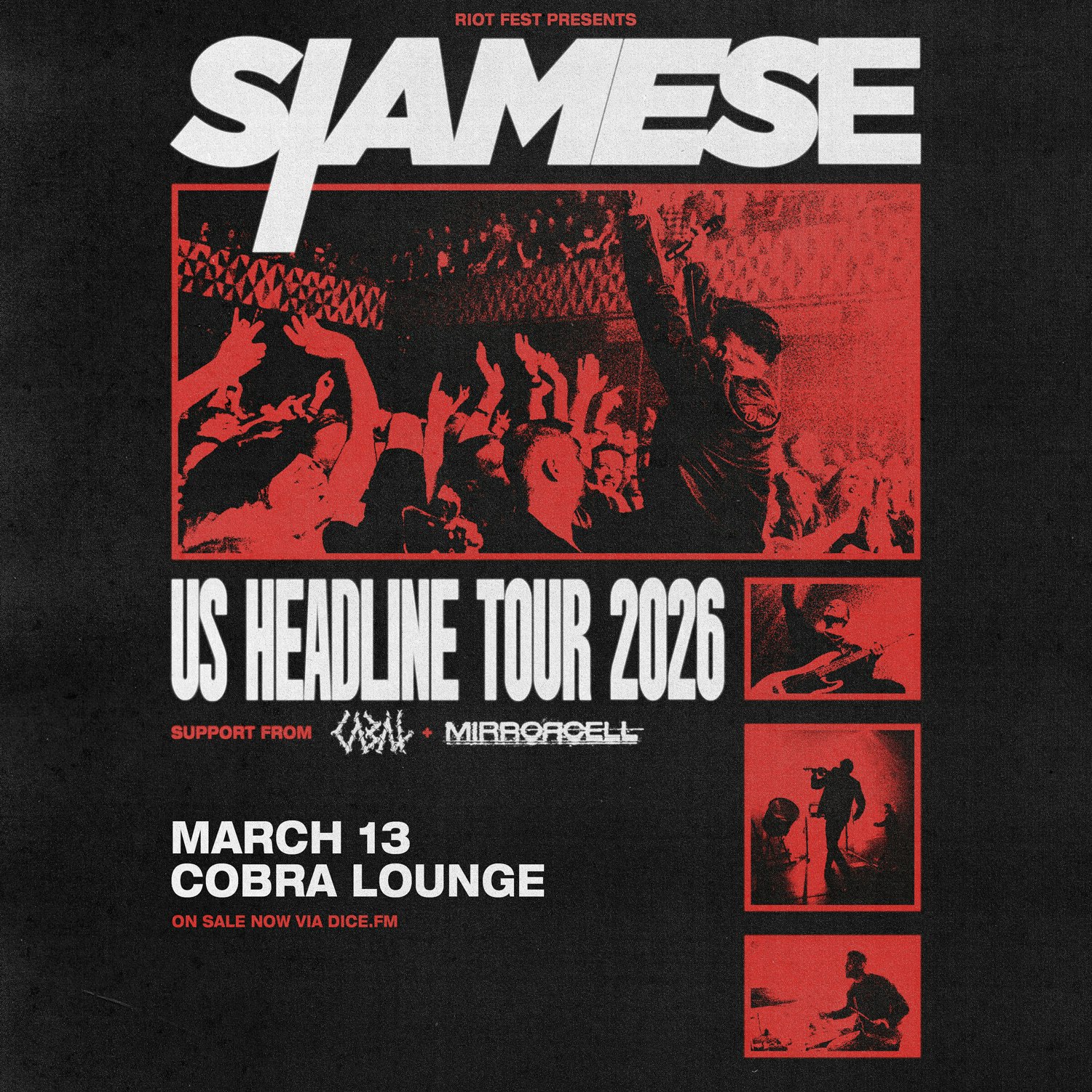 Siamese / Cabal / Mirrorcell