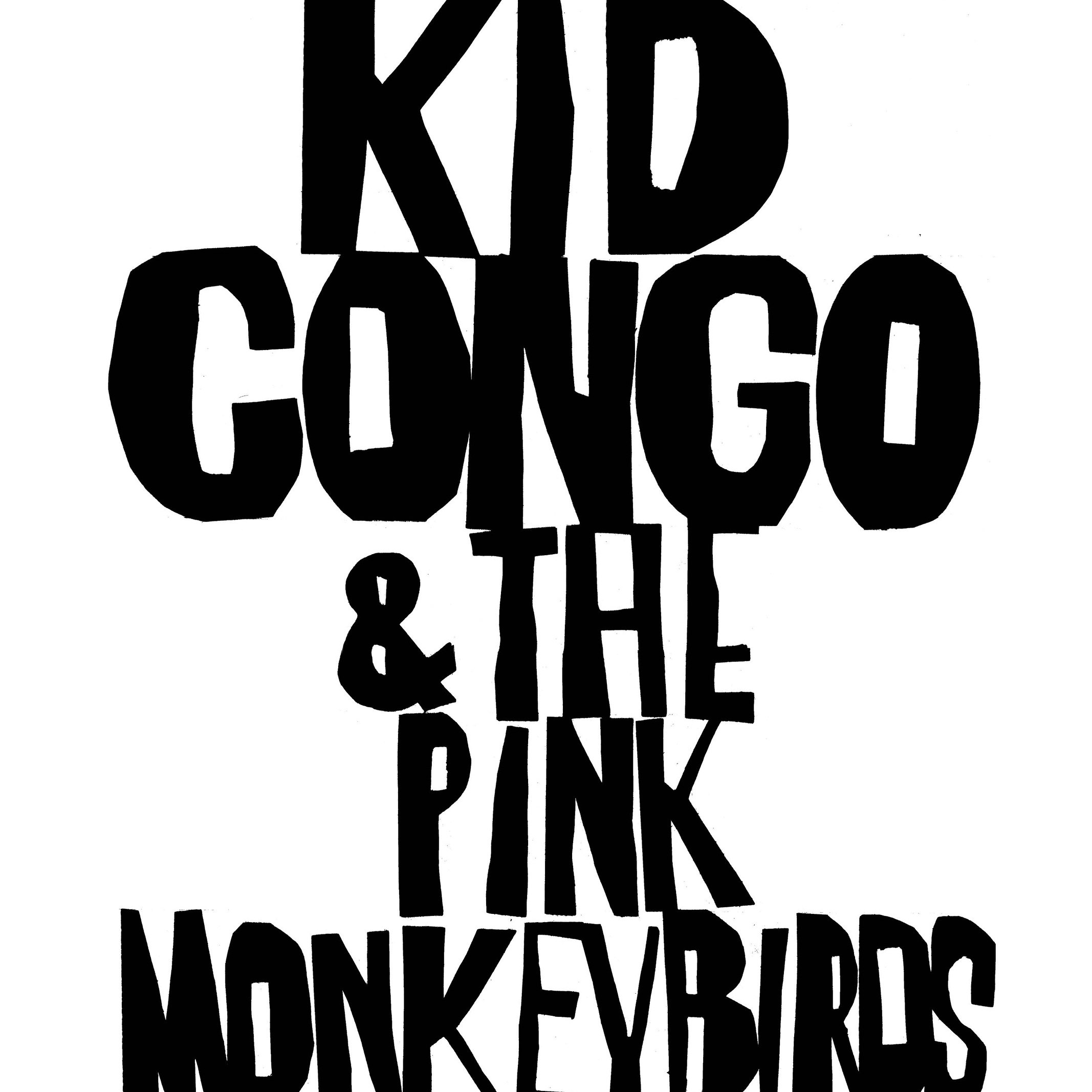 Photo of Kid Congo Powers and the Pink Monkey Birds