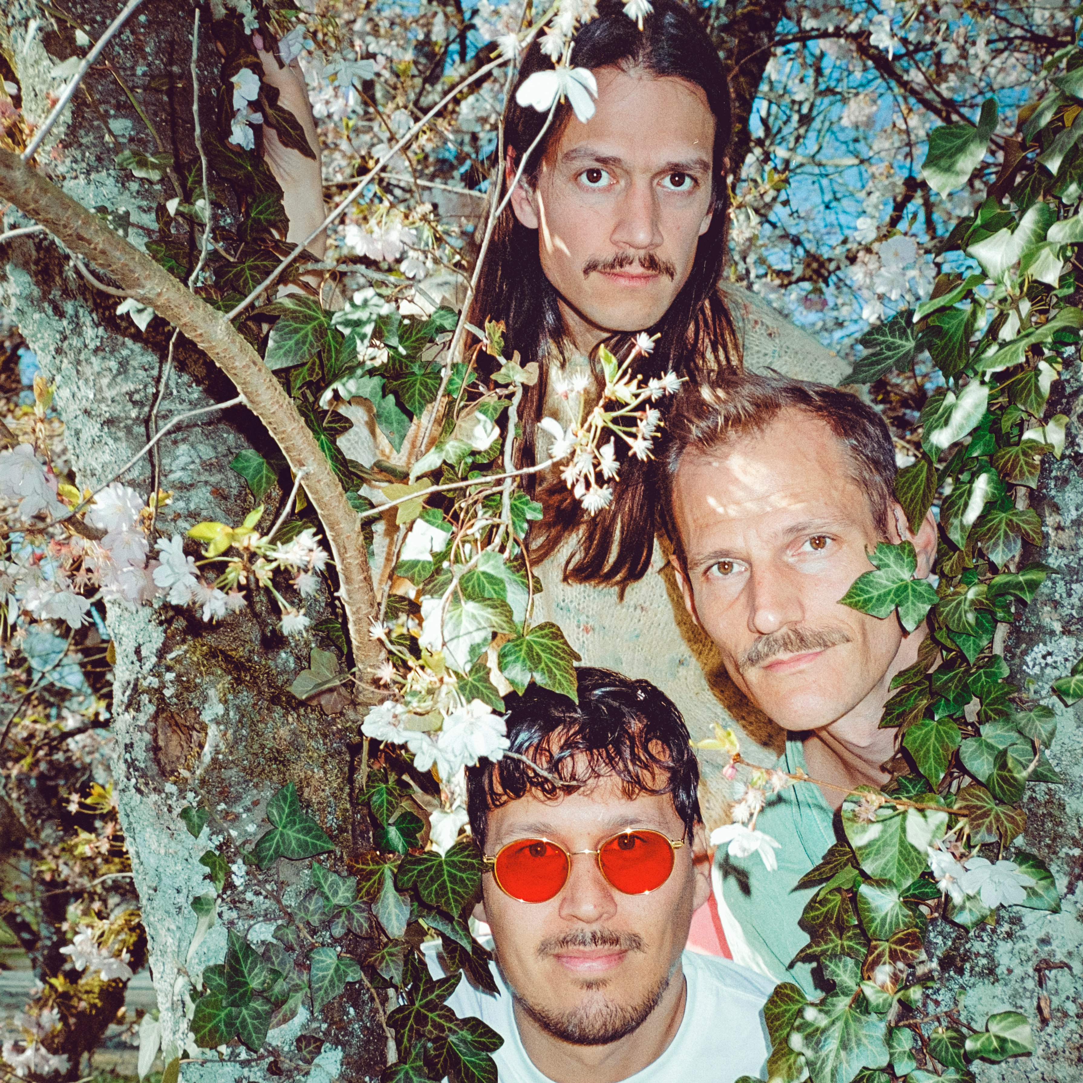 Photo of Löwenzahnhonig