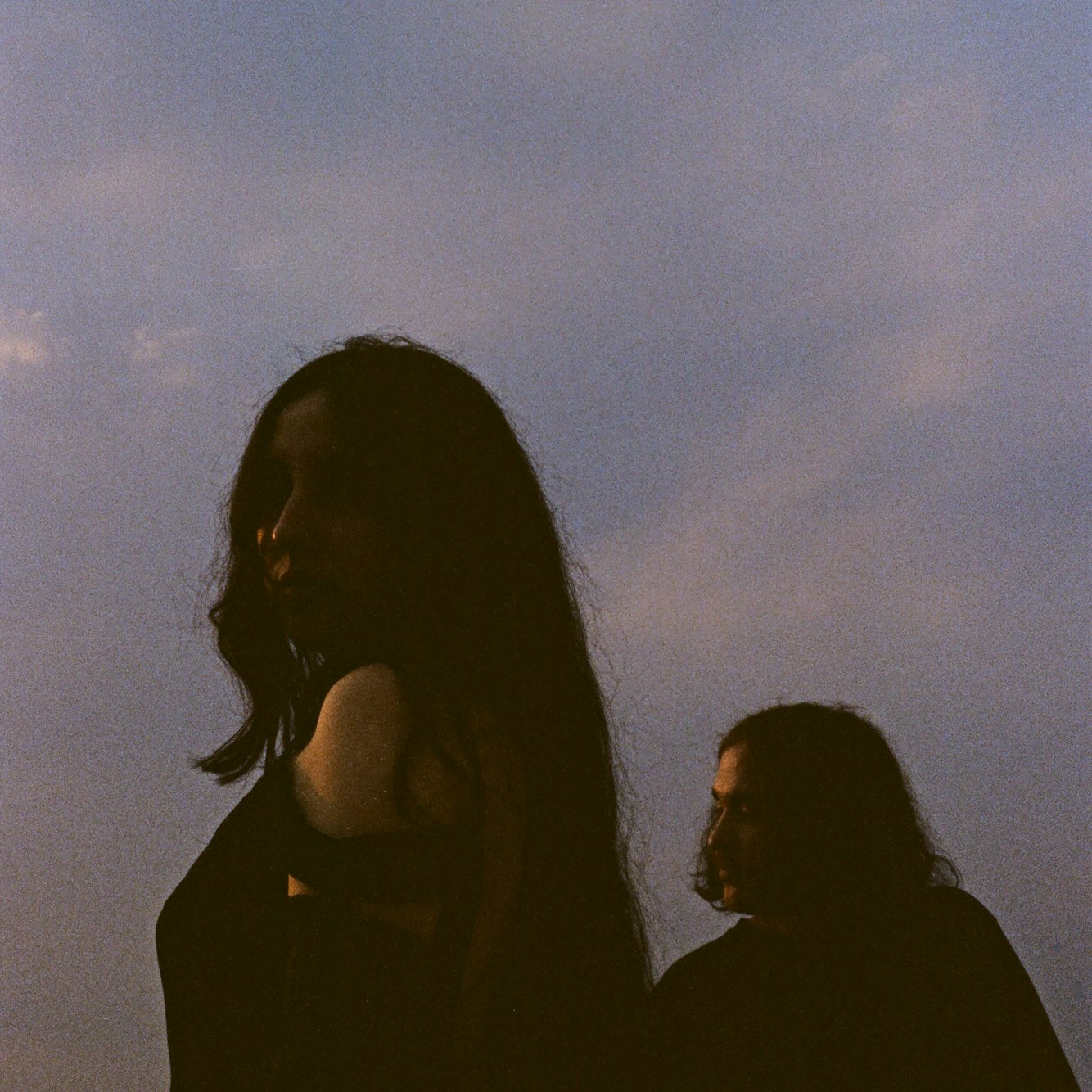 Mint Field + Wave Decay