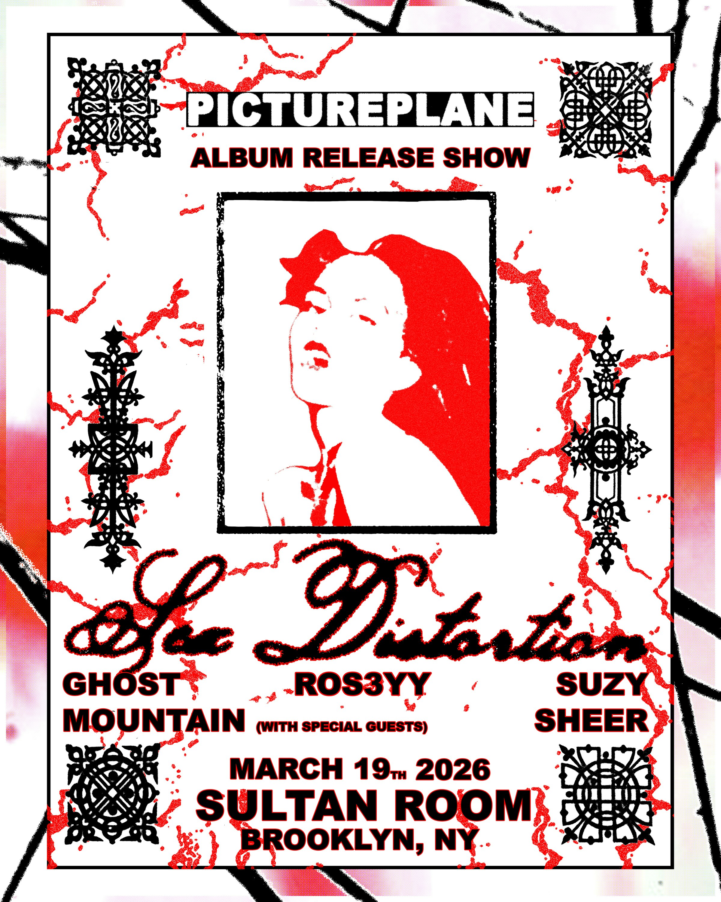 PICTUREPLANE (Album Release), Suzy Sheer, Ghost Mountain, ros3yy