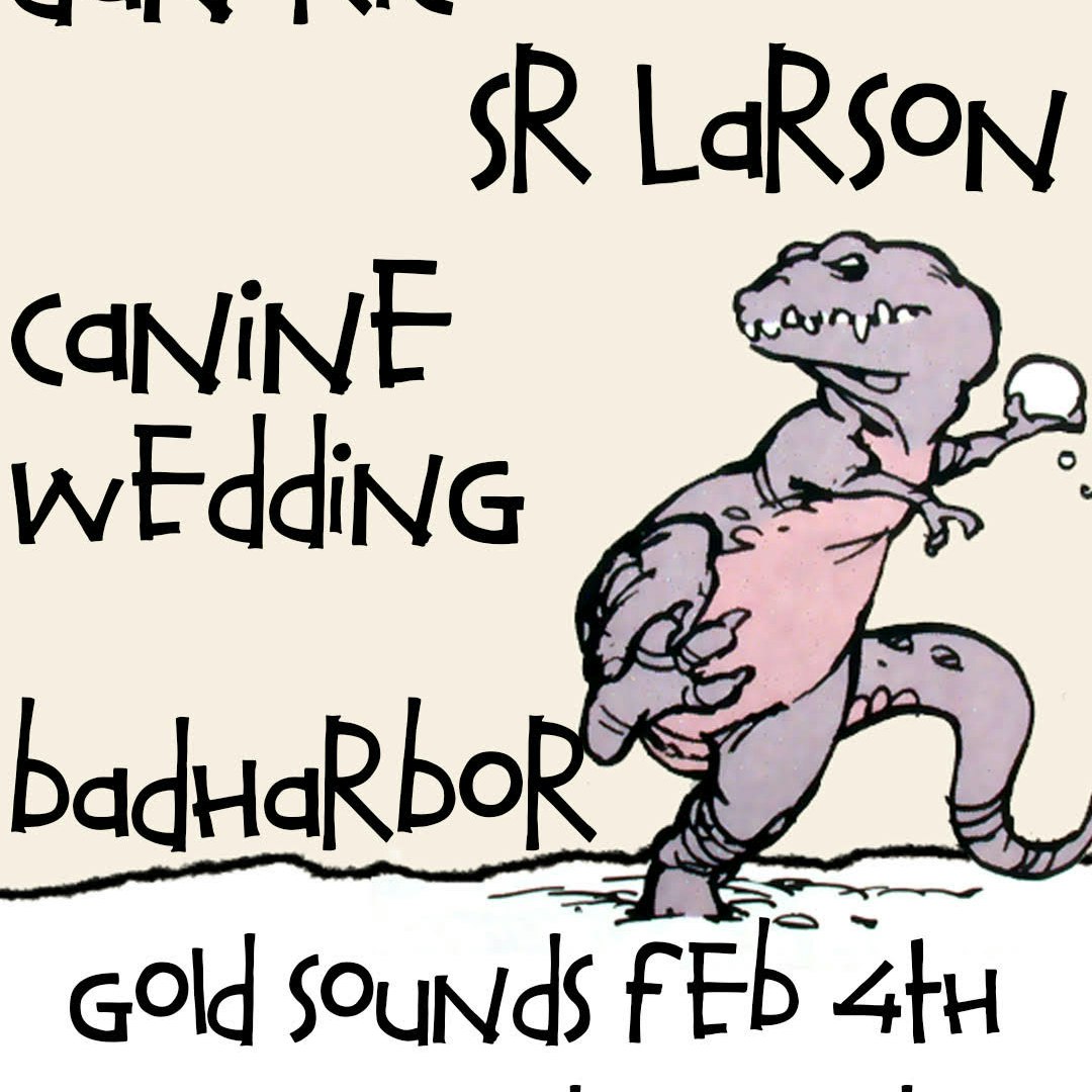 Photo of Dan Rico // SR Larson // Canine Wedding // Bad Harbor