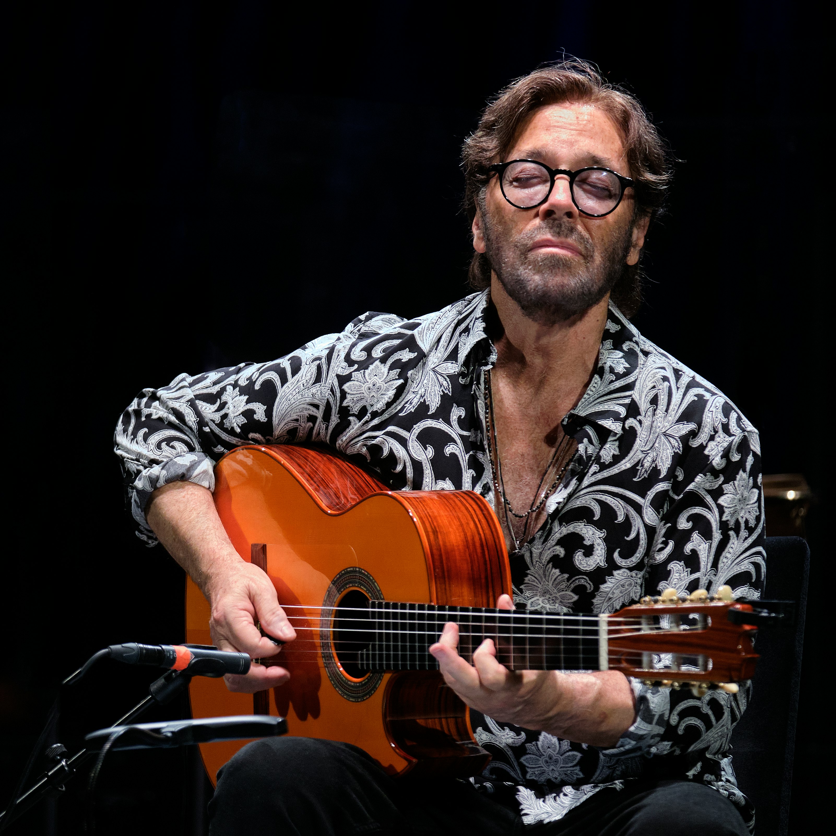 Al Di Meola