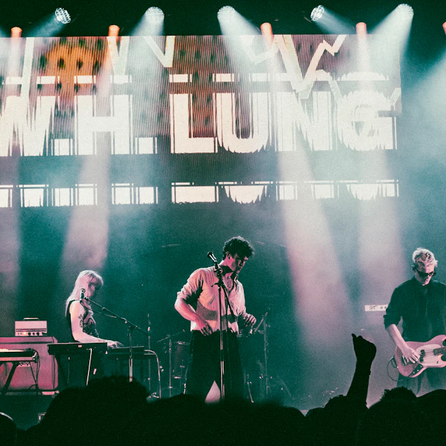W. H. Lung