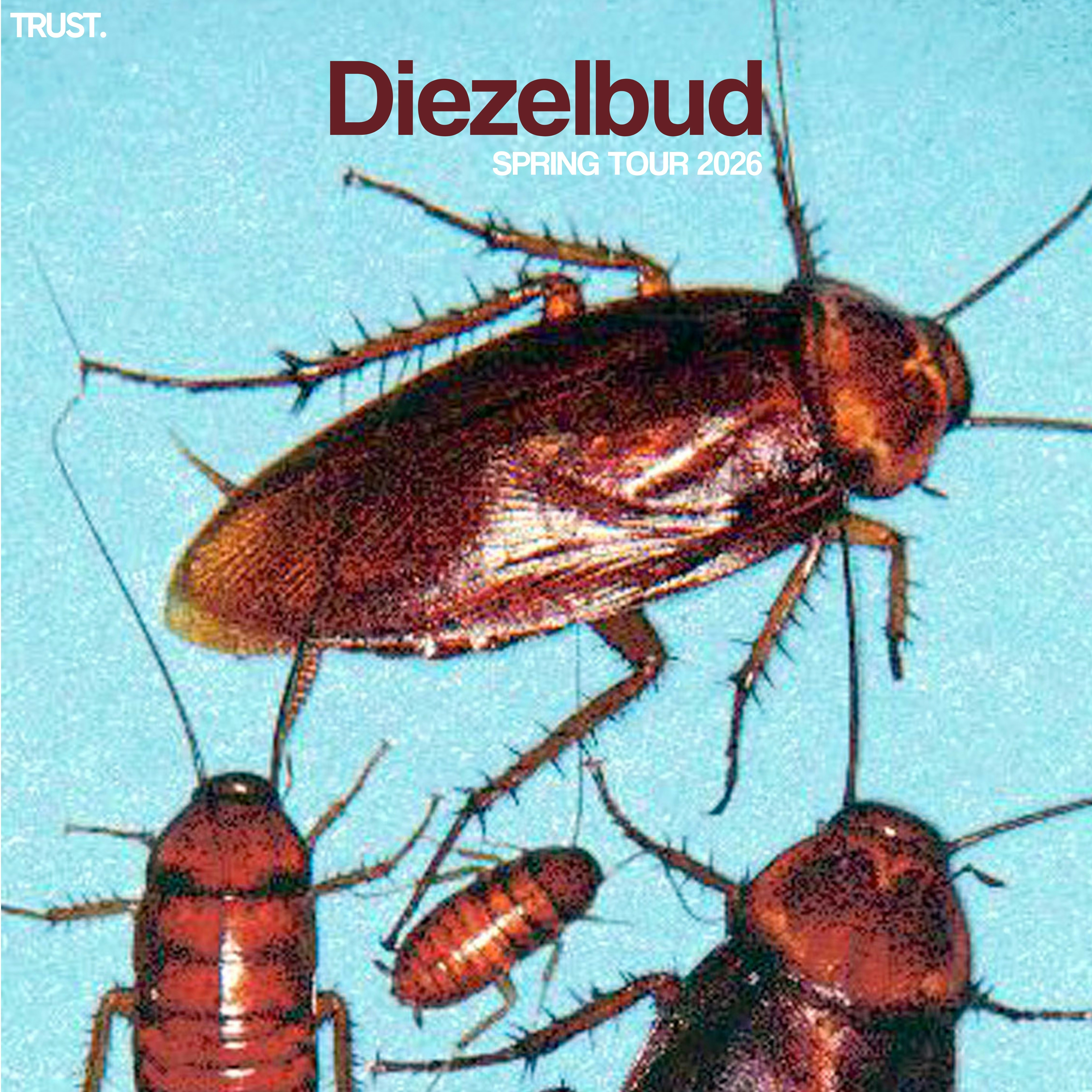 Diezelbud /The Pavilion / Eve Garland