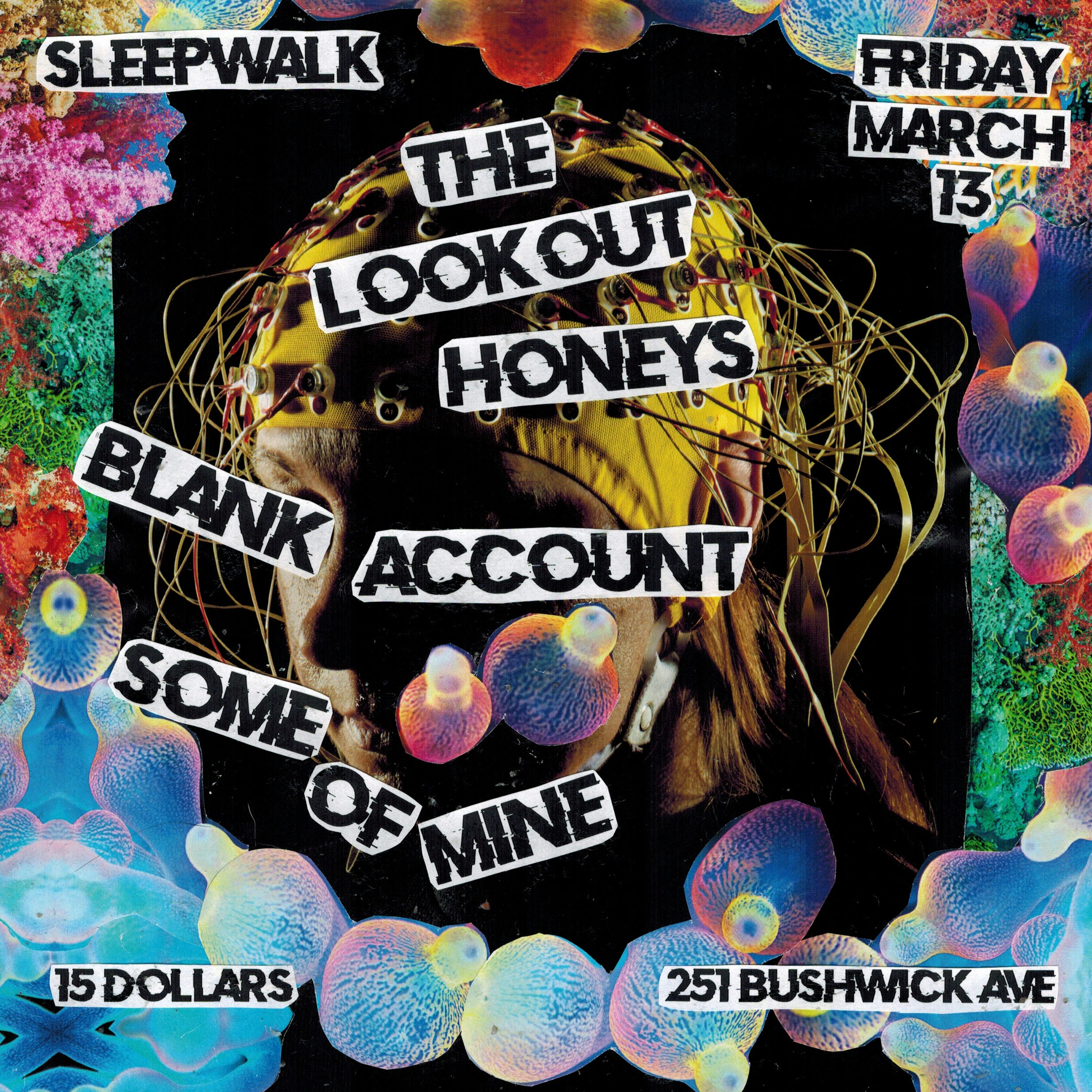 Photo of The Lookout Honeys, Blank Account, Some of Mine