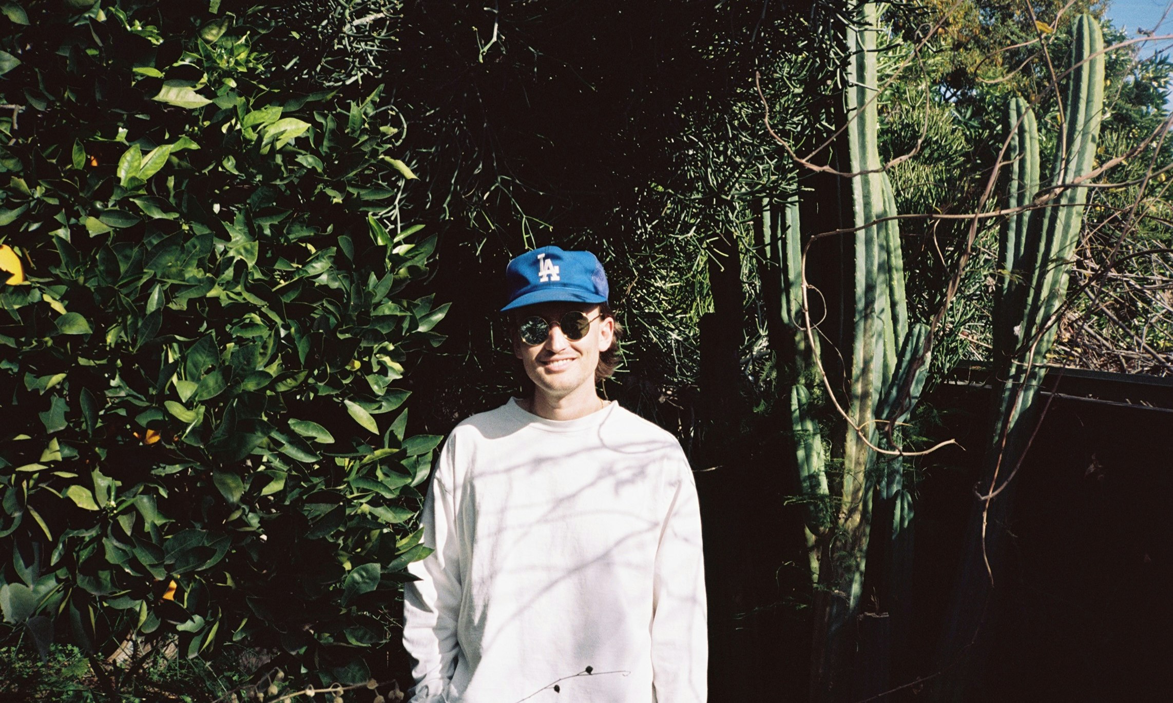 gnash
