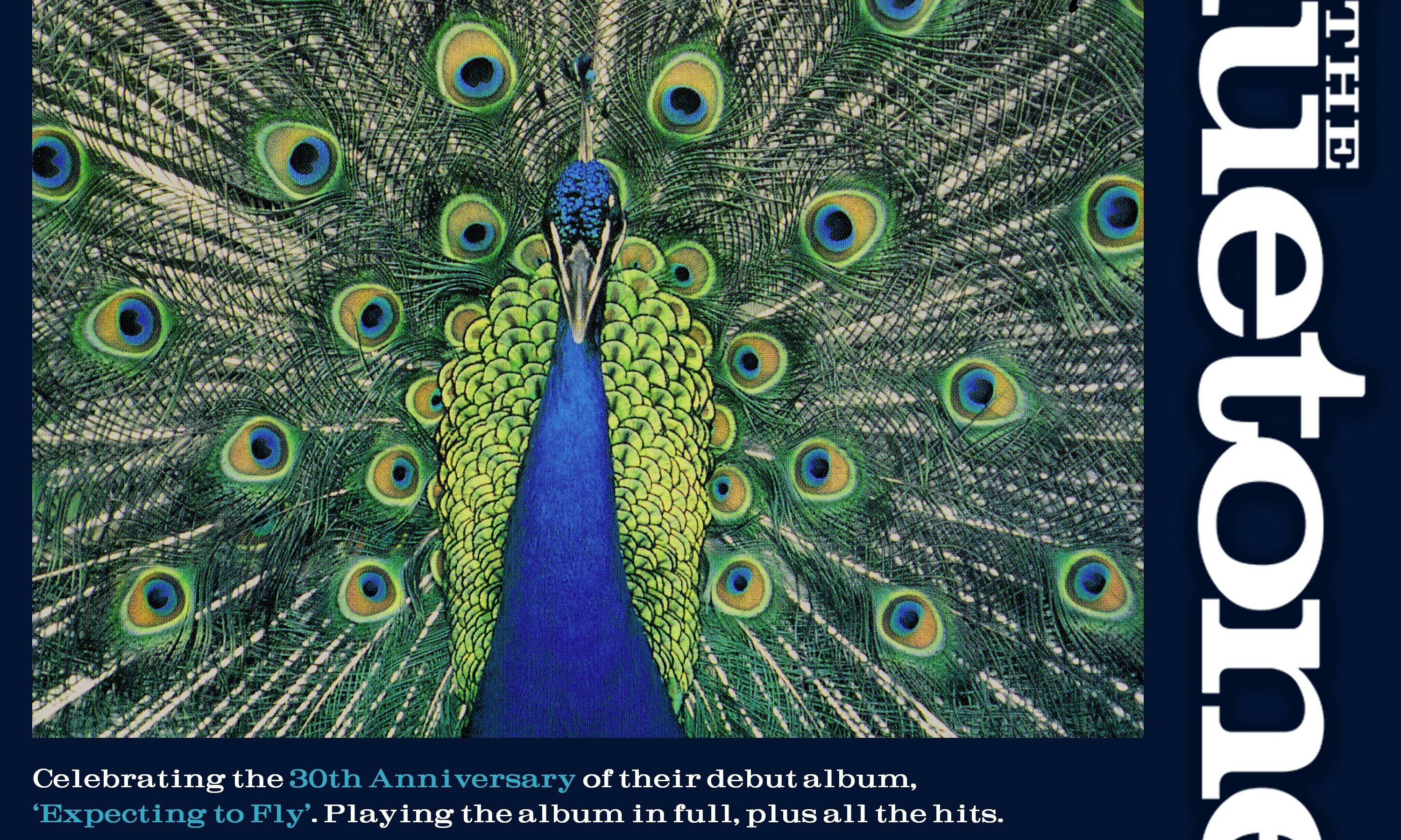 The Bluetones