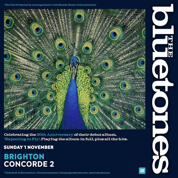 The Bluetones