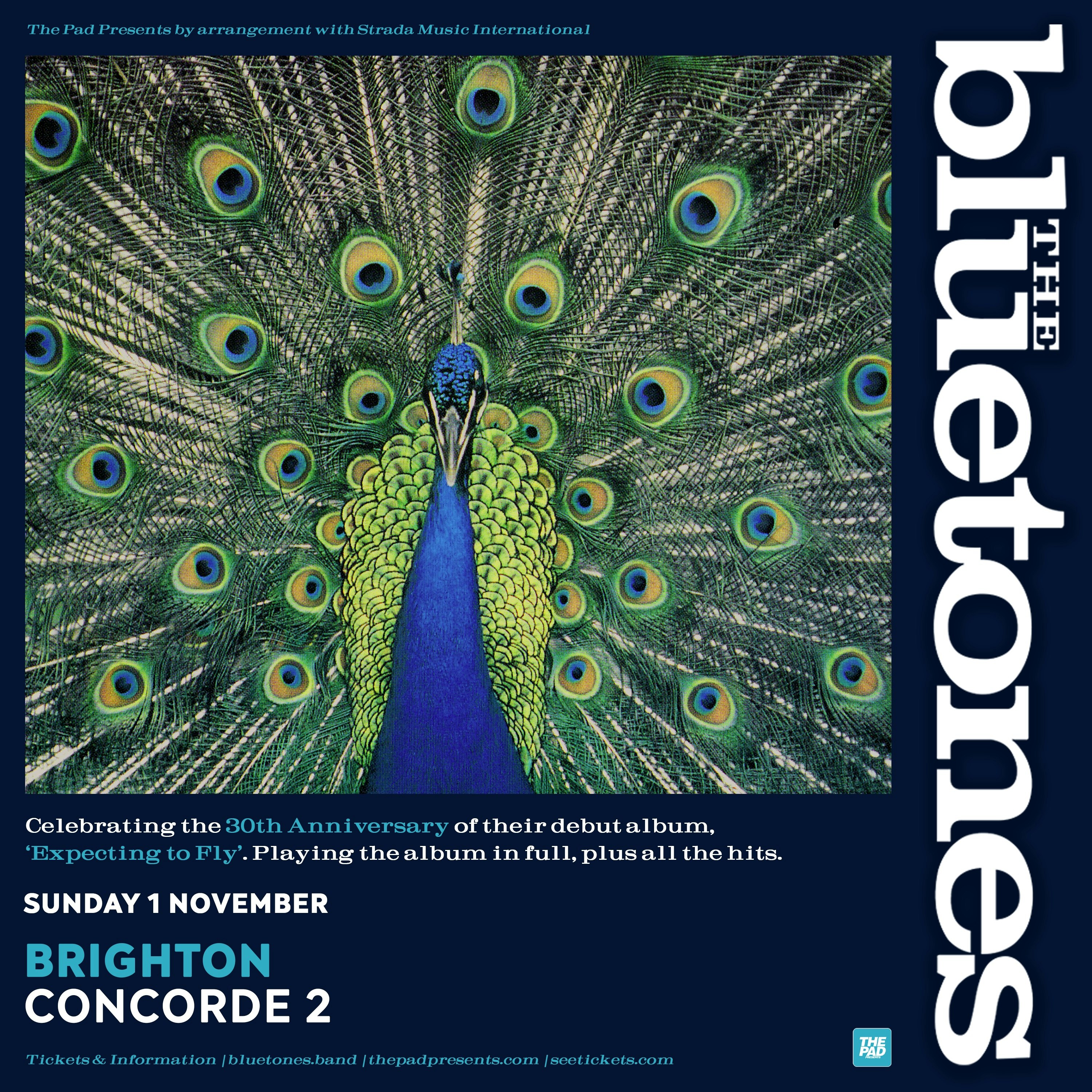 The Bluetones